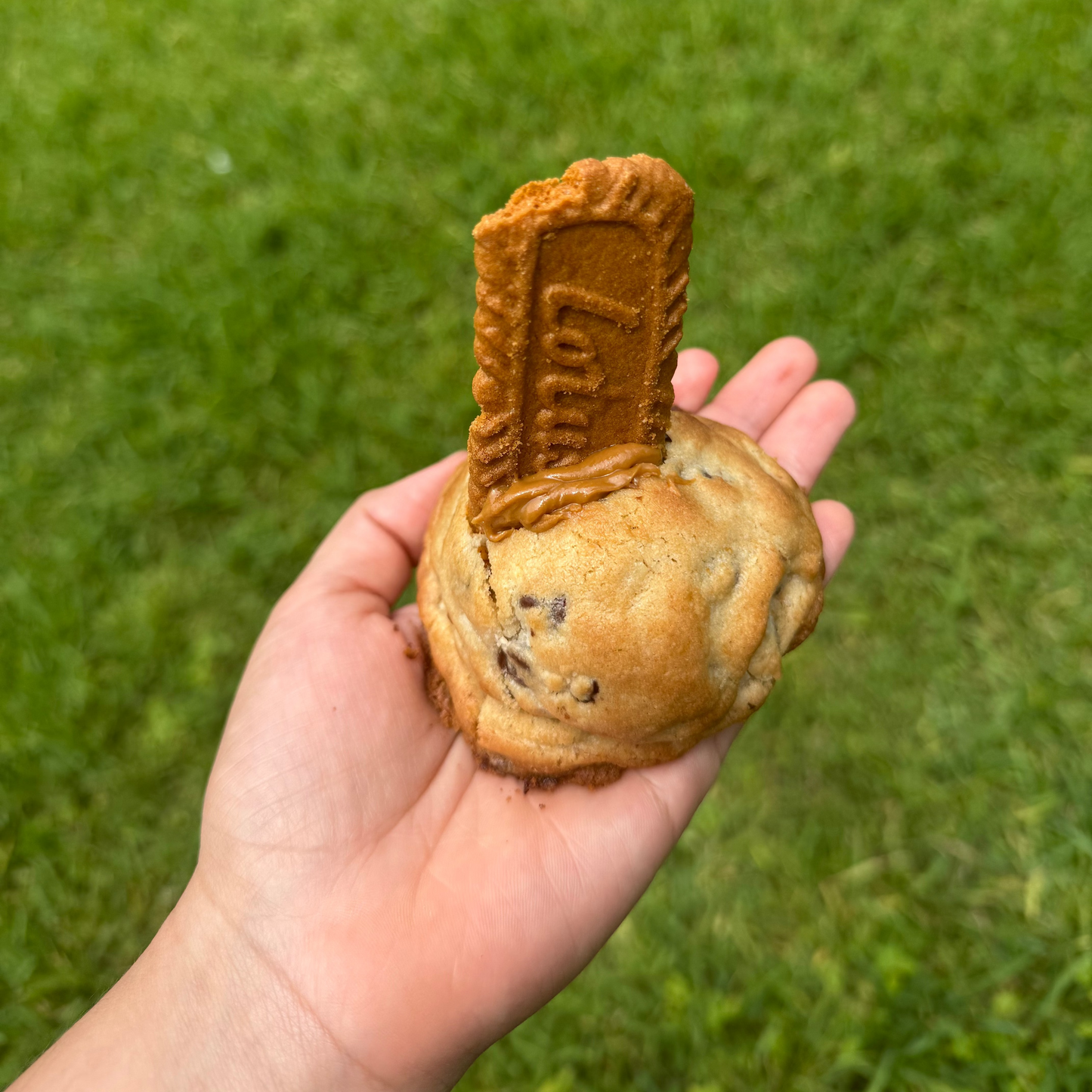 Houston Cookies
