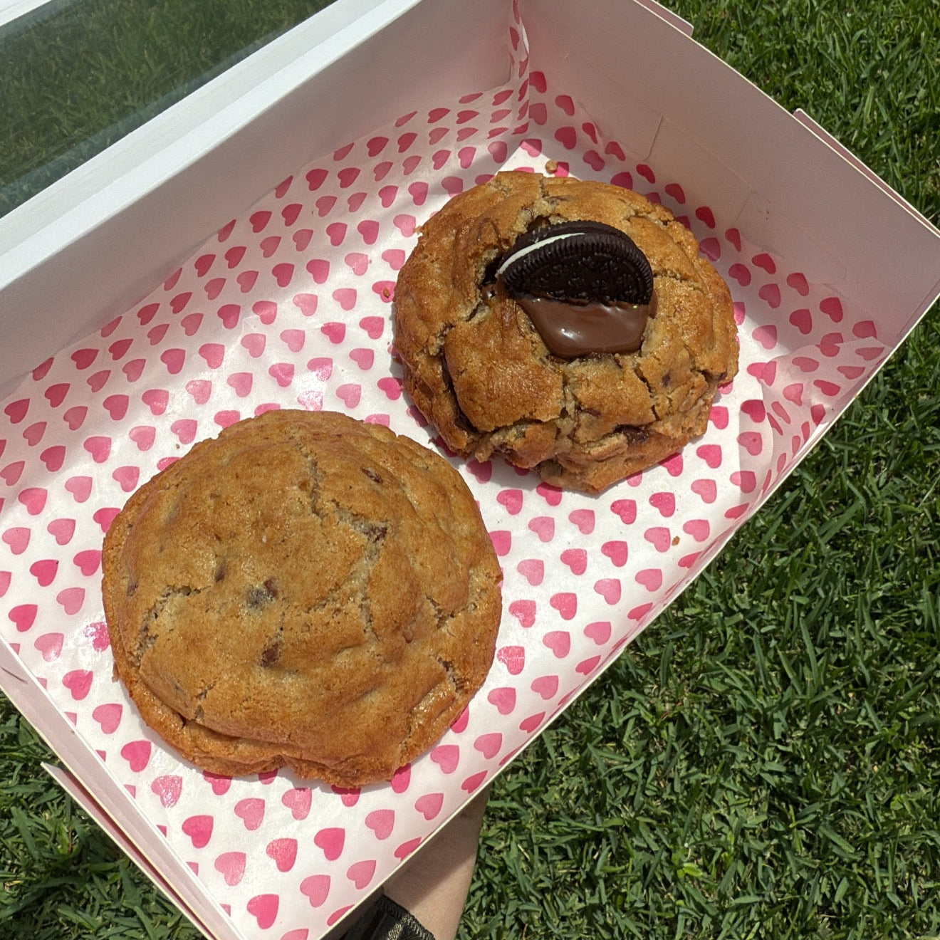 Houston Cookies